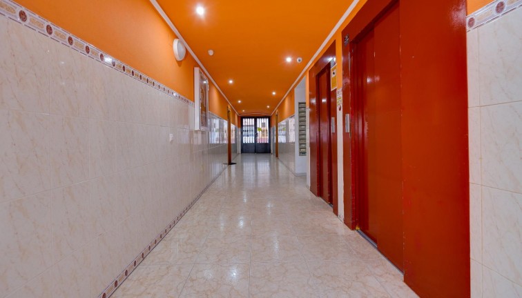 Jälleenmyynti - Asunto - Torrevieja - Acequion