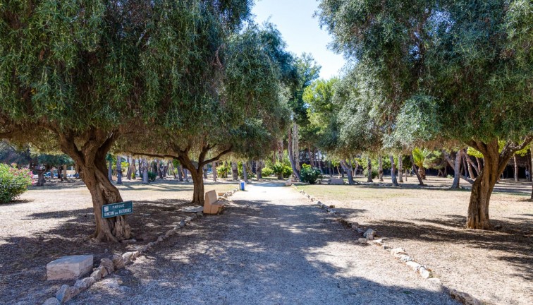 Jälleenmyynti - Asunto - Torrevieja - Acequion