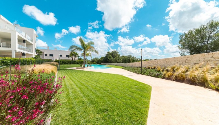 Reventa - Apartamento / piso - Pilar de la Horadada