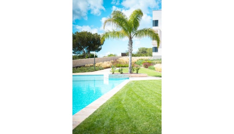 Reventa - Apartamento / piso - Pilar de la Horadada