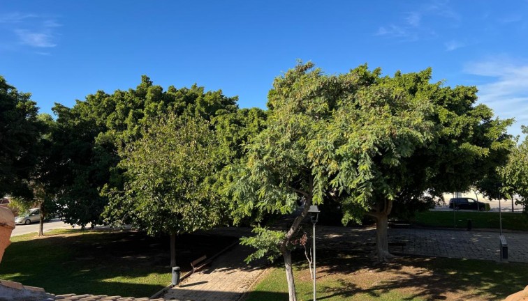 Resale - Semi-Detached - Torre de la Horadada - TORRE DE LA HORADADA