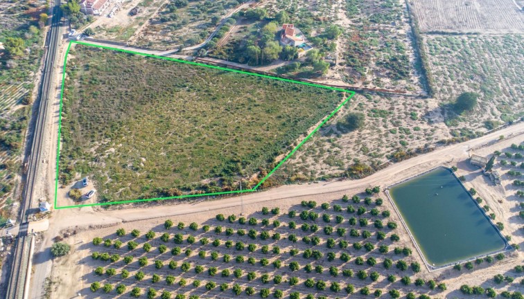 Jälleenmyynti - Maatila - Crevillent - Comunidad valenciana