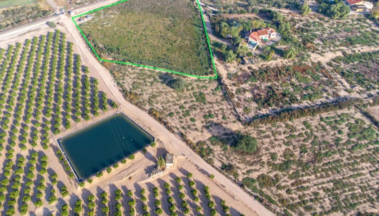 Jälleenmyynti - Maatila - Crevillent - Comunidad valenciana