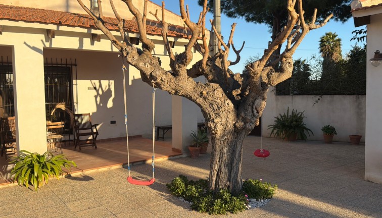 Reventa - Casa adosada - Dolores