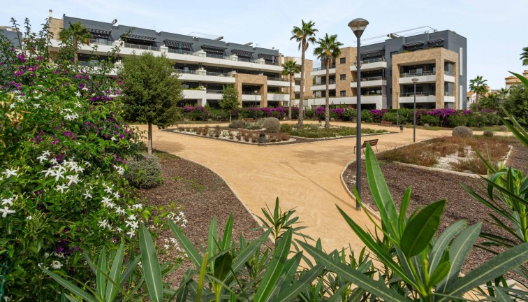 Återförsäljning - Lägenhet - Orihuela Costa - Playa Flamenca