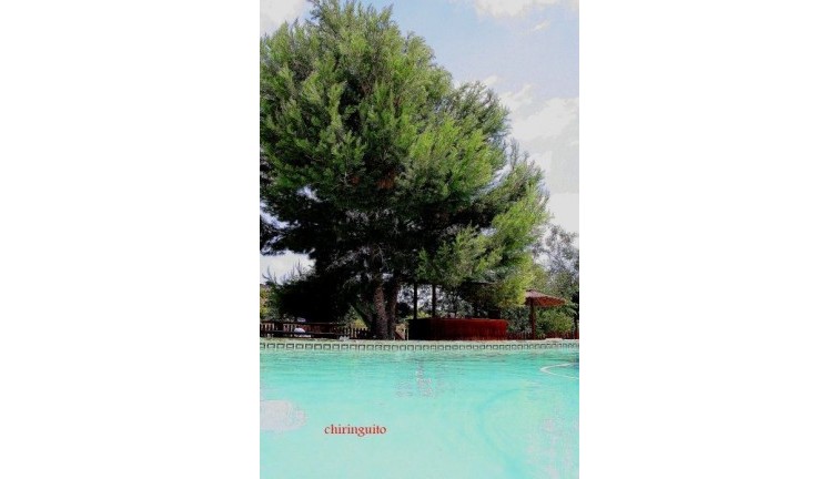 Reventa - Chalet - Gea y truyols