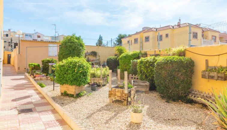 Jälleenmyynti - Asunto - Torrevieja - El chaparral