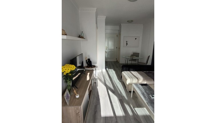 Återförsäljning - Parhus/Radhus - Algorfa