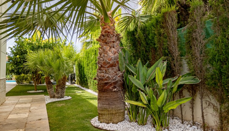 Återförsäljning - Fristående hus - La Zenia