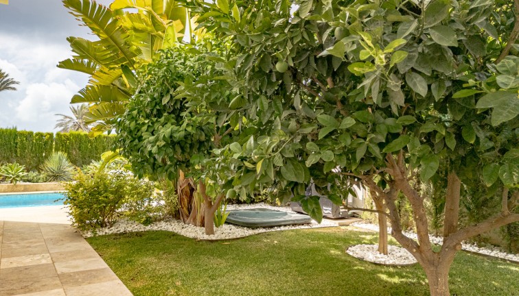 Återförsäljning - Fristående hus - La Zenia