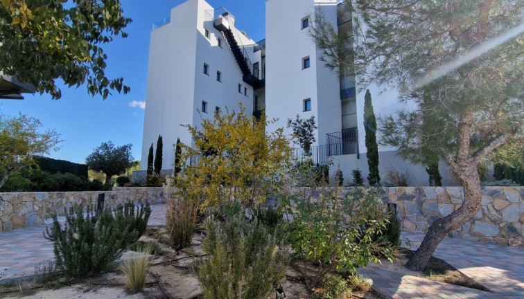 Jälleenmyynti - Asunto - Orihuela - Las Colinas