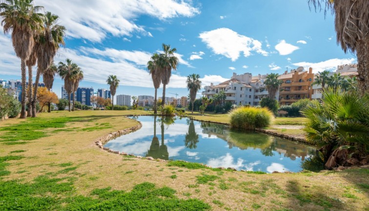 Resale - Apartment - Punta Prima