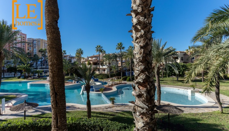 Jälleenmyynti - Asunto - Torrevieja - Playa de los Locos