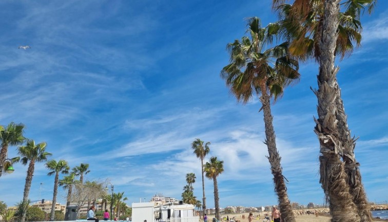 Reventa - Apartamento / piso - Torrevieja - Acequion