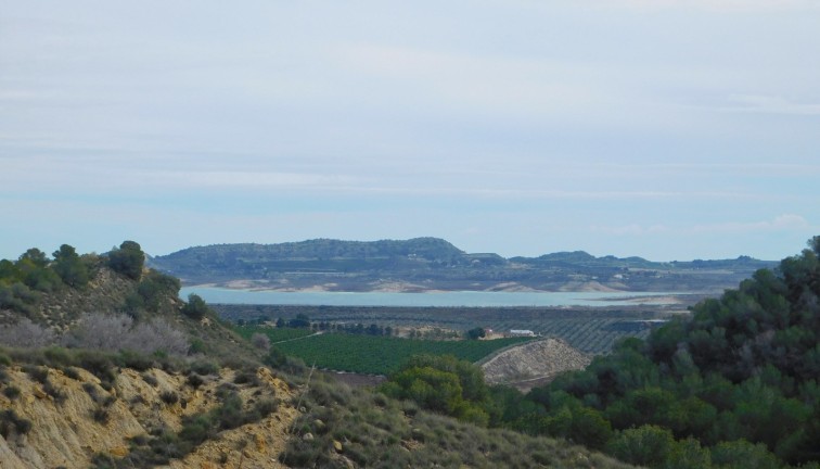 Återförsäljning - Finca - Torremendo