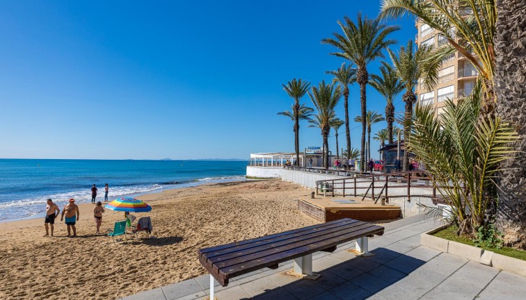 Resale - Apartment - Torrevieja