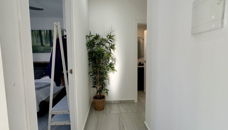 Jälleenmyynti - Erillistalo - Rojales - Ciudad Quesada