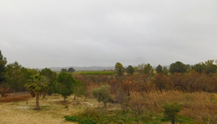 Resale - Apartment - Torremendo