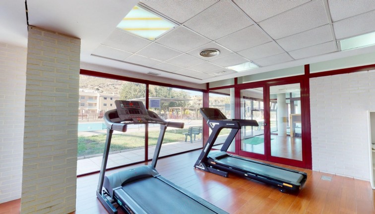 New Build - Apartment - Top Floor Apartment - Archena