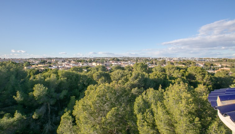 Resale - Apartment - Lomas de Cabo Roig