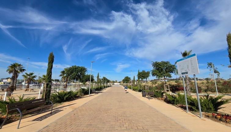 Jälleenmyynti - Erillistalo - Torrevieja - El chaparral