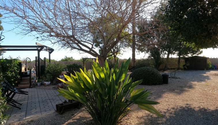 Reventa - Chalet - Orihuela