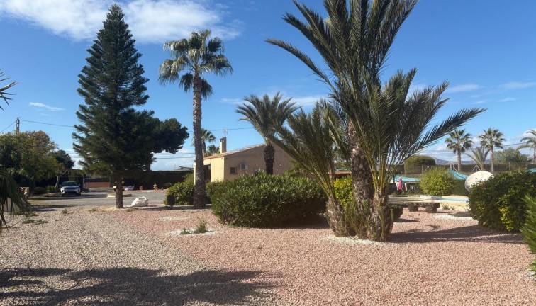 Reventa - Chalet - Albatera