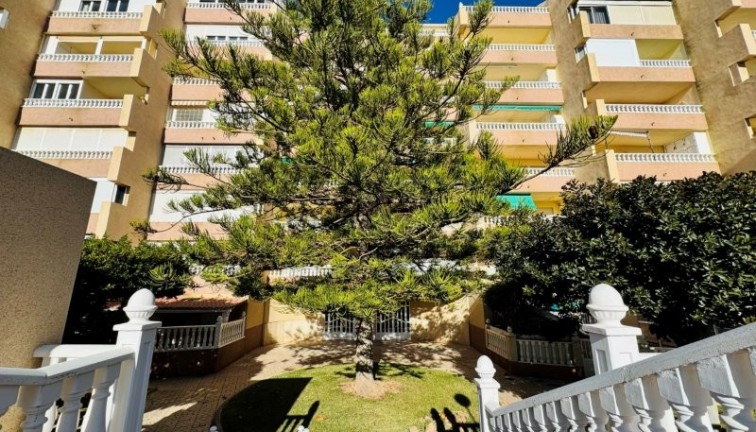 Jälleenmyynti - Asunto - Ylimmän kerroksen asunto - La Mata - LA MATA