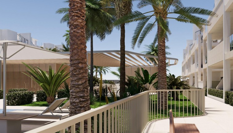 New Build - Apartment - Torre Pacheco