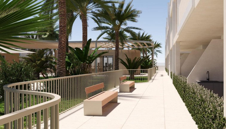 Obra nueva - Apartamento - Apartamento en el último piso - Torre Pacheco