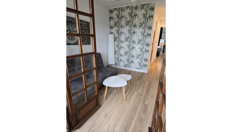 Pitkäaikainen vuokraus - Asunto - Torrevieja - Acequion