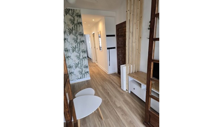 Pitkäaikainen vuokraus - Asunto - Torrevieja - Acequion