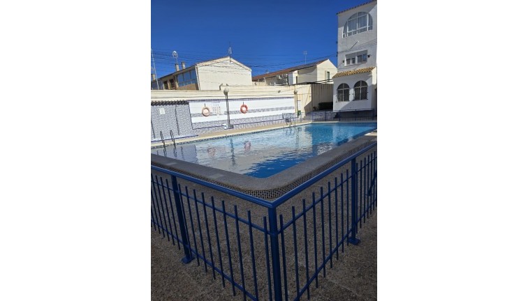 Pitkäaikainen vuokraus - Asunto - Torrevieja - Acequion