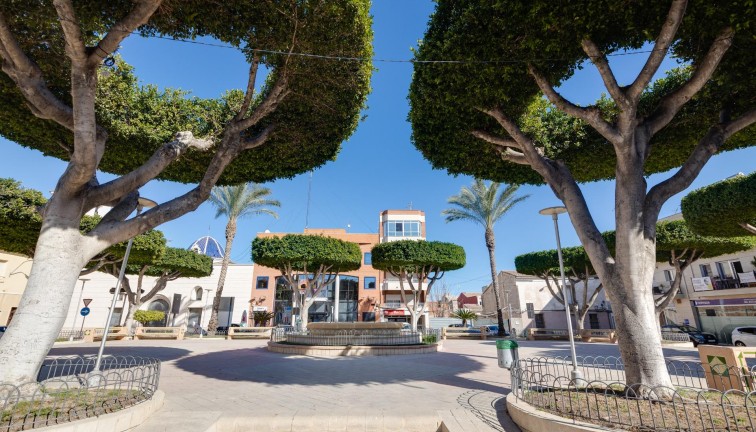 New Build - Apartment - San Fulgencio