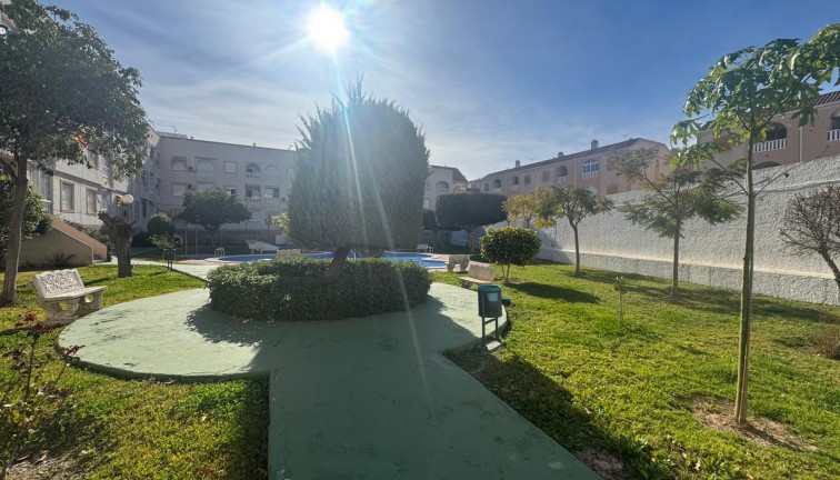 Jälleenmyynti - Asunto - Torrevieja - Acequion