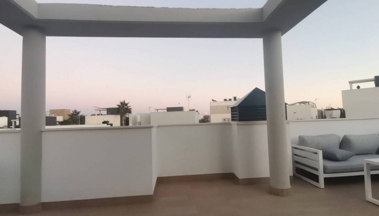 Obra nueva - Chalet - Campoamor