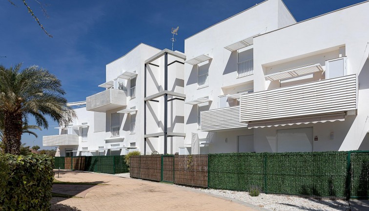 Obra nueva - Apartamento - Apartamento en el último piso - Vera - El Playazo