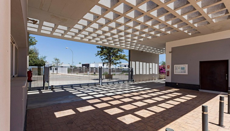 Obra nueva - Apartamento - Apartamento en el último piso - Vera - El Playazo