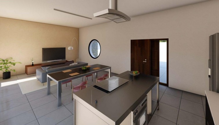 Obra nueva - Chalet - Pinoso