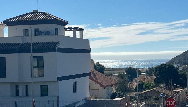 Uudistuotanto - Paritalo/Rivitalo - La Union - centro