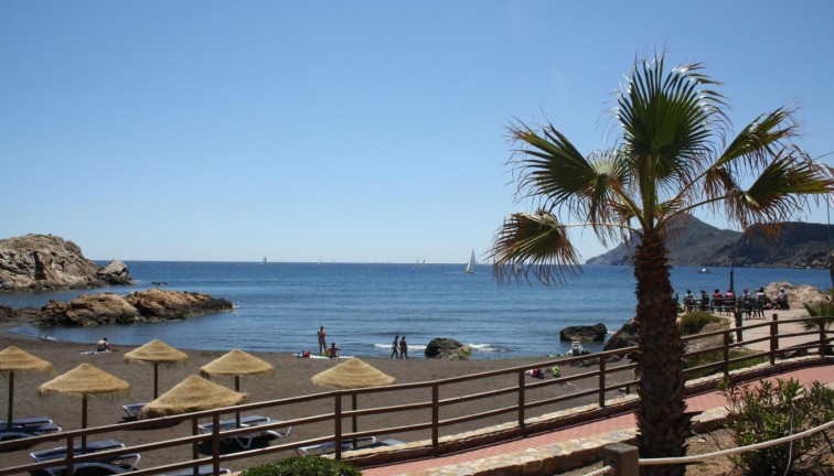 Uudistuotanto - Paritalo/Rivitalo - La Union - centro