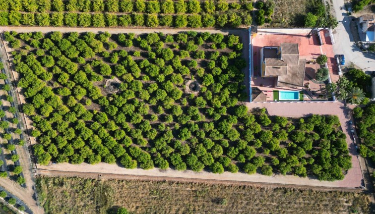 Jälleenmyynti - Finca - Orihuela