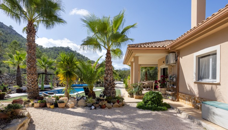 Reventa - Chalet - Murcia