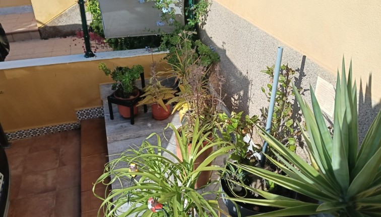 Jälleenmyynti - Asunto - Los Montesinos - LOS MONTESINOS