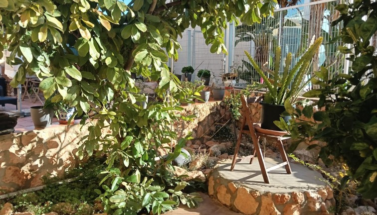 Jälleenmyynti - Asunto - Los Montesinos - LOS MONTESINOS