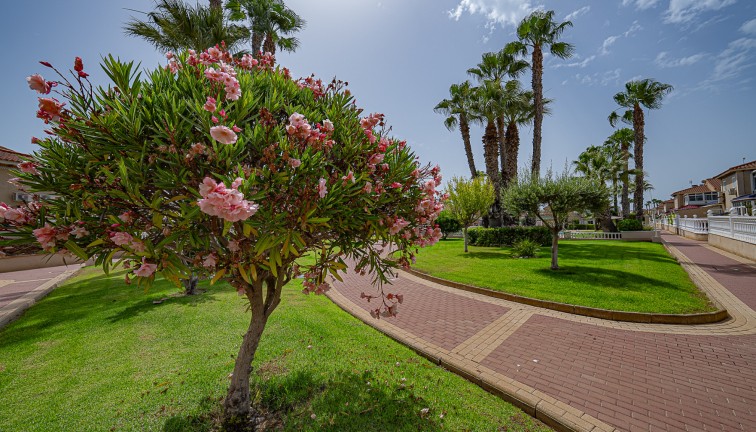 Återförsäljning - Lägenhet - Playa Flamenca
