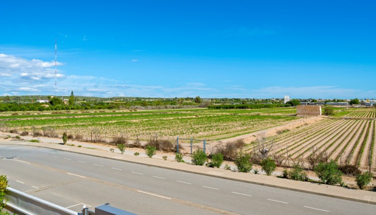 Jälleenmyynti - Erillistalo - El Raso - EL RASO