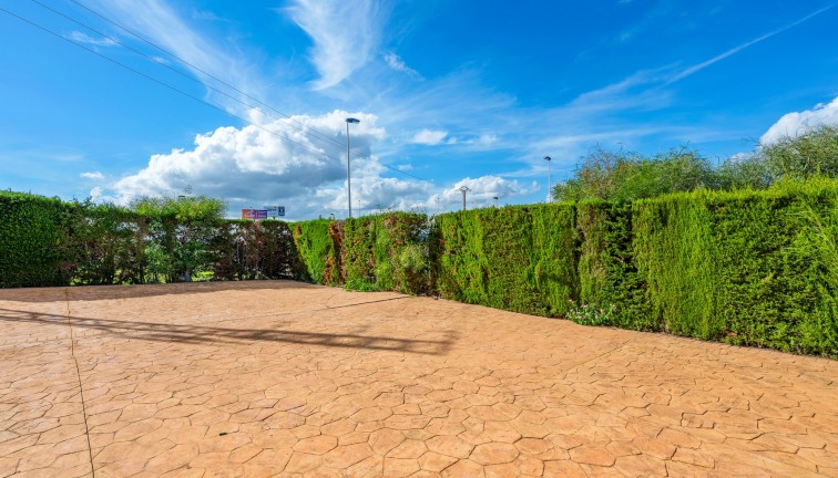 Reventa - Apartamento / piso - Torrevieja