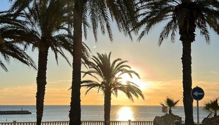 Reventa - Apartamento / piso - Torre de la Horadada - TORRE DE LA HORADADA