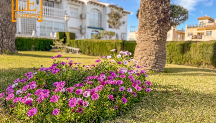 Jälleenmyynti - Bungalow - Torrevieja - Lago Jardin